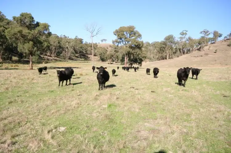 Third view of Homely rural property listing, 3210 Yea-Whittlesea Road, Flowerdale VIC 3717