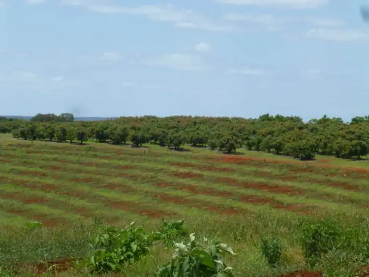 Third view of Homely rural property listing, 40 AVOCADO DRIVE, Childers QLD 4660