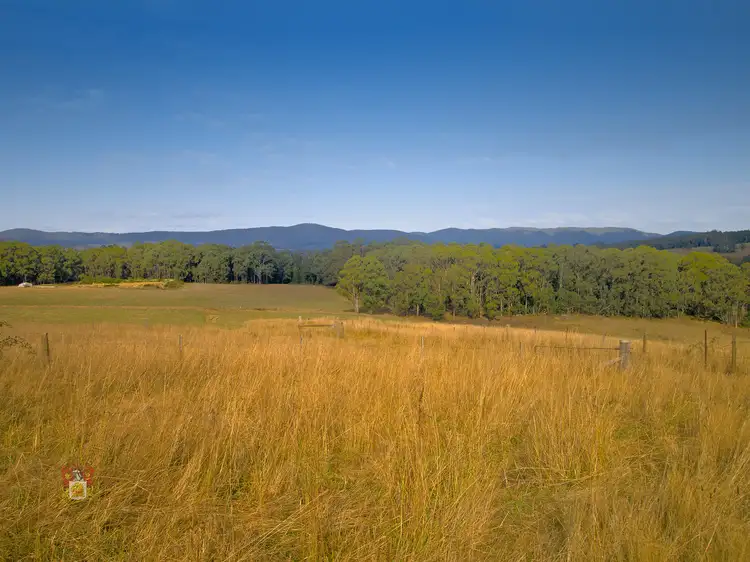 Seventh view of Homely house listing, 42E Murrays Road, Kinglake VIC 3763