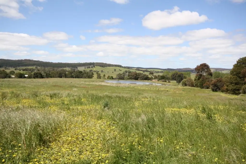 Main view of Homely land listing, CA 41A & 41B Raglan Elmhurst Road, Raglan VIC 3373