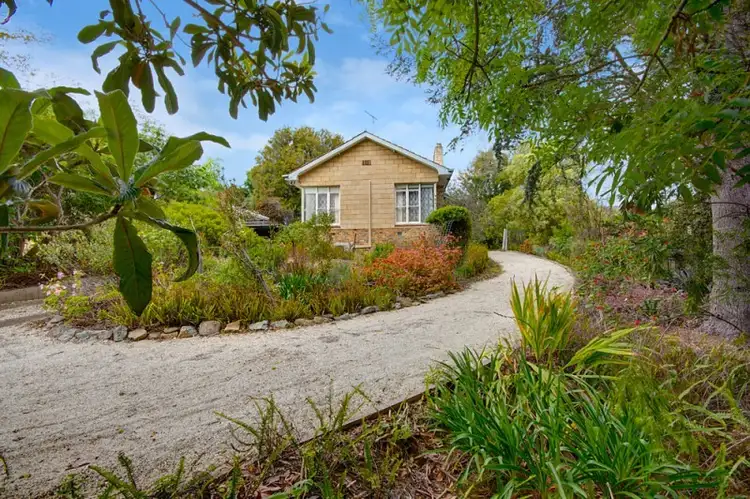 19 The Avenue, Belmont VIC 3216