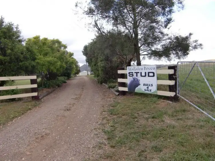 Second view of Homely rural property listing, 400C Standen Drive, Lower Belford NSW 2335