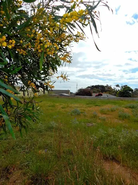 Second view of Homely land listing, LOT 25, 13 Ulonga Court, Normanville SA 5204