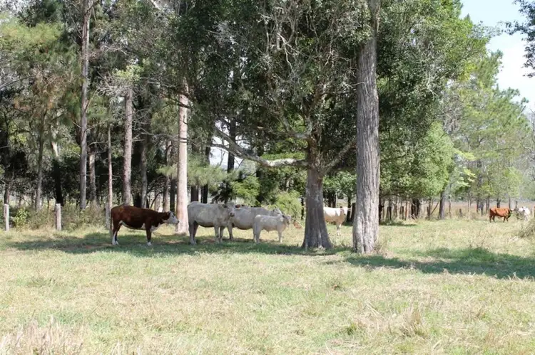 Third view of Homely land listing, 384 Bangalow Road, Lagoon Grass NSW 2480