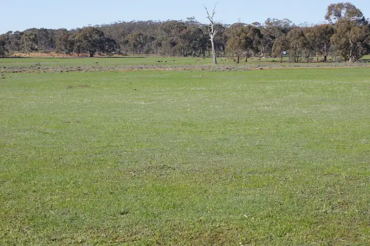39D Scotts Lane, Wedderburn VIC 3518