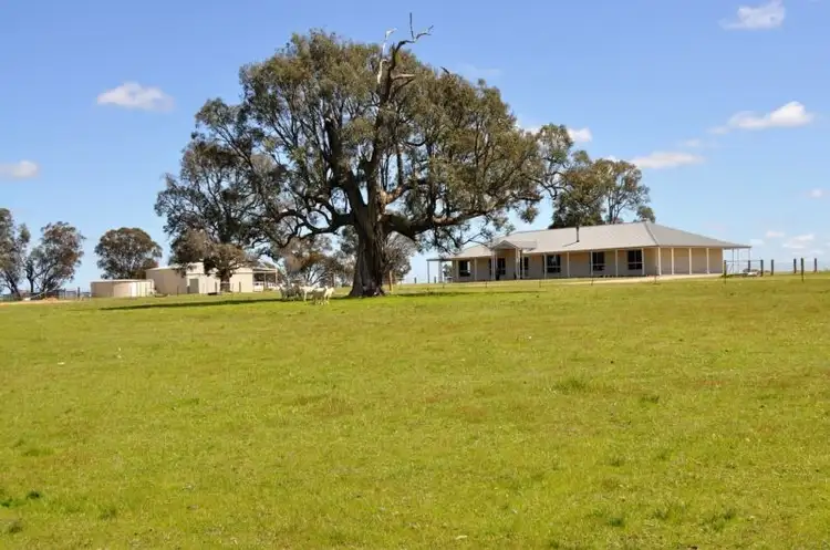 593 Spring Creek Road, Gulgong NSW 2852