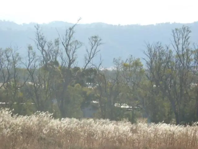 Third view of Homely land listing, LOT 52/73 PARK TERRACE, Quorn SA 5433