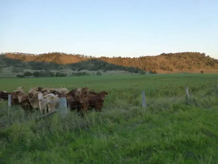 Sixth view of Homely rural property listing, Address available on request