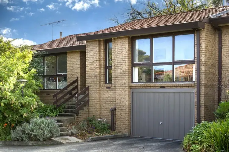 6/14 Broughton Road, Surrey Hills VIC 3127