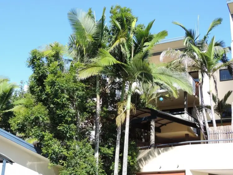 Main view of Homely unit listing, 1/182 Carmody Road, St Lucia QLD 4067