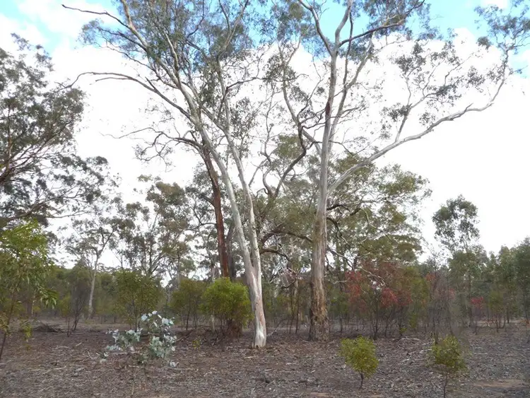 Third view of Homely rural property listing, Lot 2 Western Highway, Dadswells Bridge VIC 3385