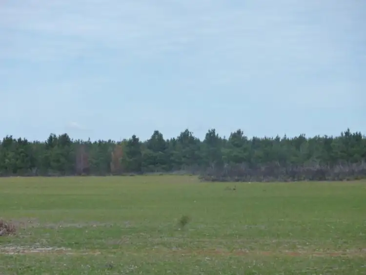 Main view of Homely rural property listing, LOT 5 Bushill Rd, Beverley WA 6304