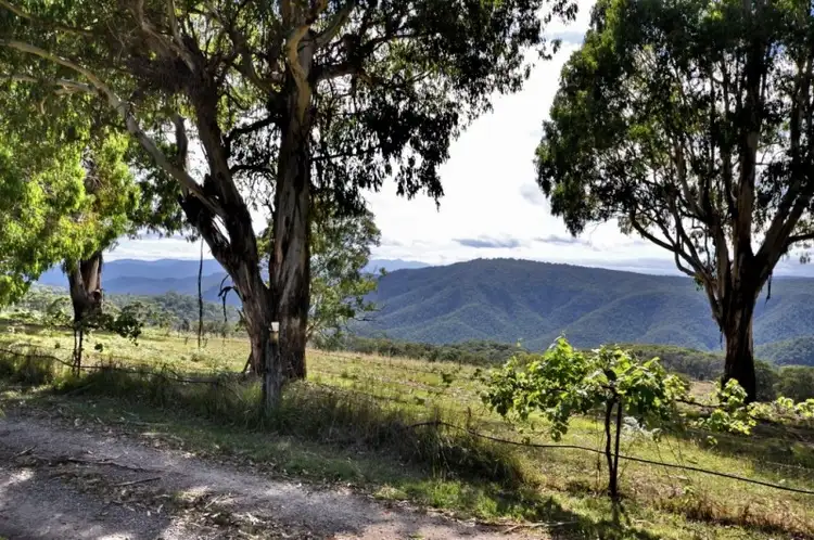 Fifth view of Homely house listing, 3092 Mansfield-Whitfield Rd, Tolmie VIC 3723