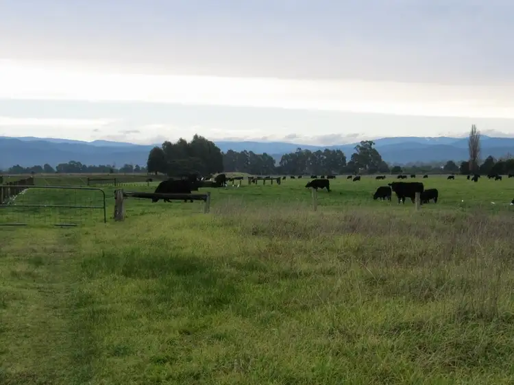 Sixth view of Homely rural property listing, 1199 Maffra-Briagolong Road, Boisdale VIC 3860