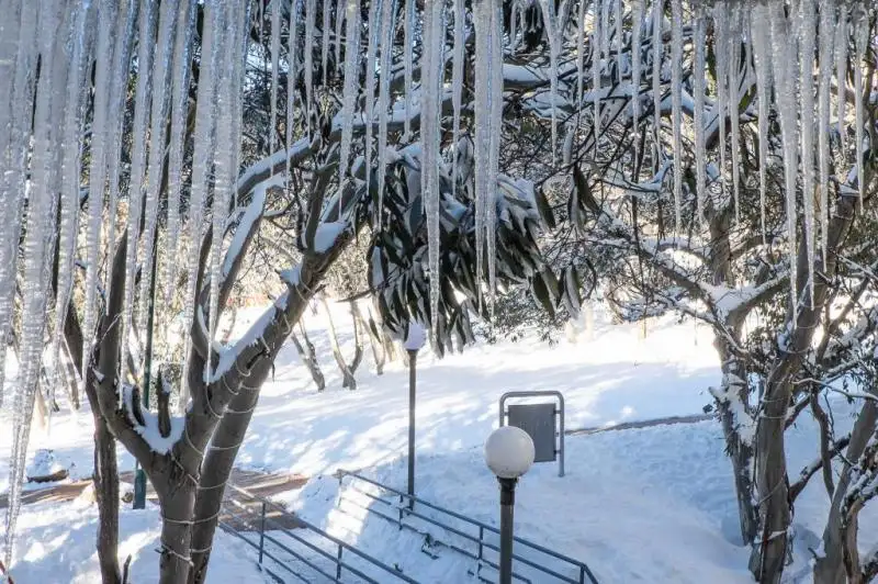 Main view of Homely apartment listing, 709/206 Summit Rd, Mount Buller VIC 3723