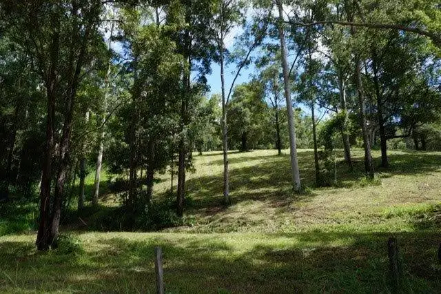 Second view of Homely rural property listing, 439 Upper Buckra Bendinni, Bowraville NSW 2449
