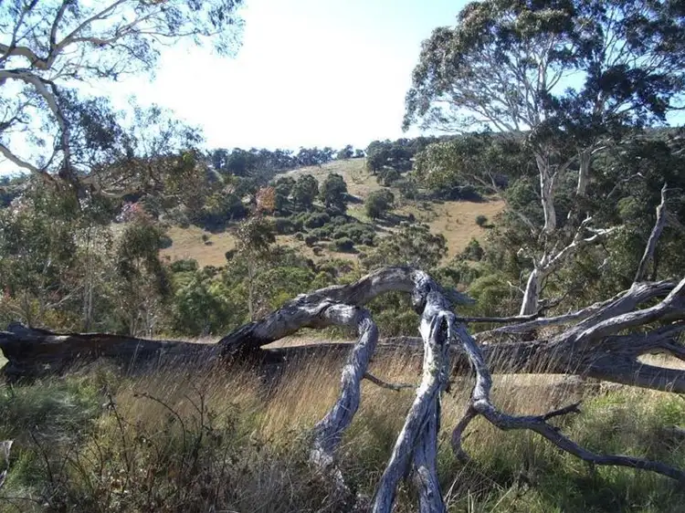 Main view of Homely rural property listing, 1089 Brookville Road, Swifts Creek VIC 3896