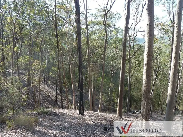 Fifth view of Homely rural property listing, 137 Toms Gully Road, Hickeys Creek NSW 2440