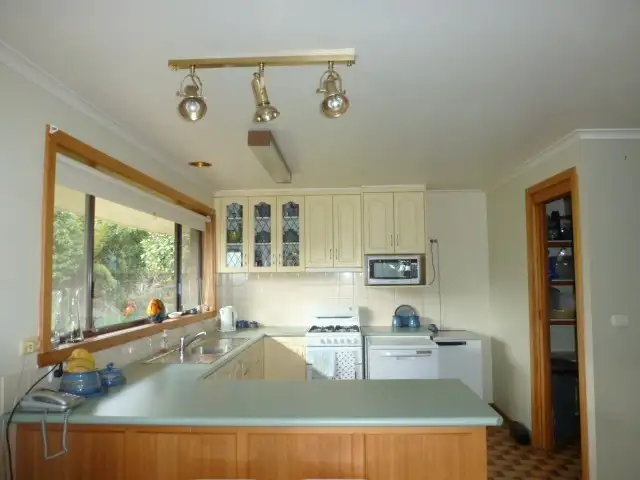 Fifth view of Homely rural property listing, 444 East Minstone Road, Scottsdale TAS 7260