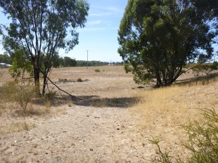 Fourth view of Homely rural property listing, 333 Sheep Station Road, Cowra NSW 2794