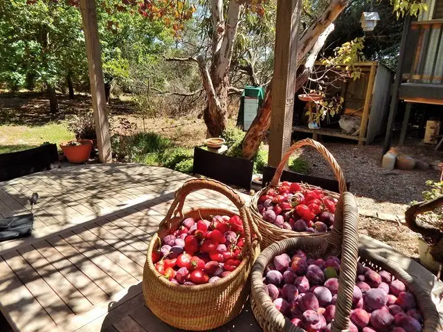 8864 Main South Road, Cape Jervis SA 5204