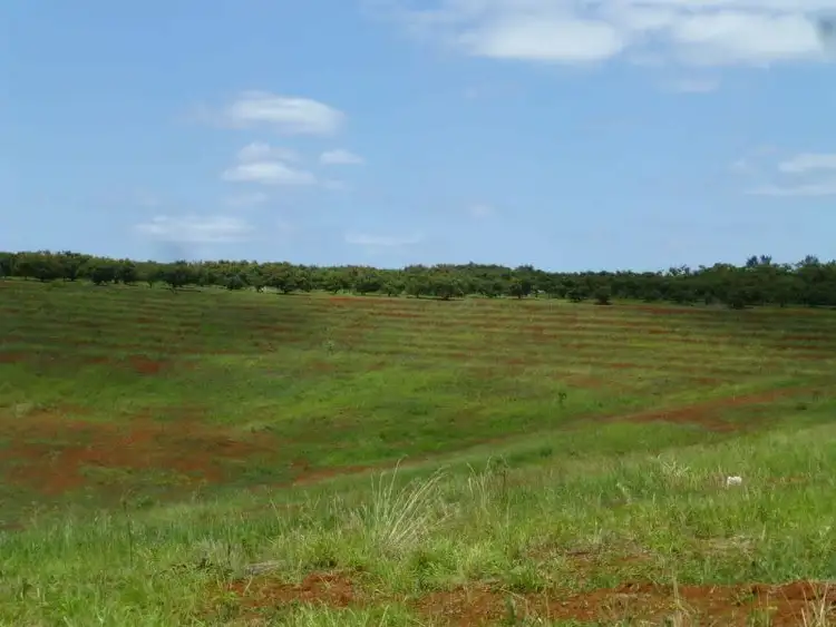Fifth view of Homely rural property listing, 40 AVOCADO DRIVE, Childers QLD 4660