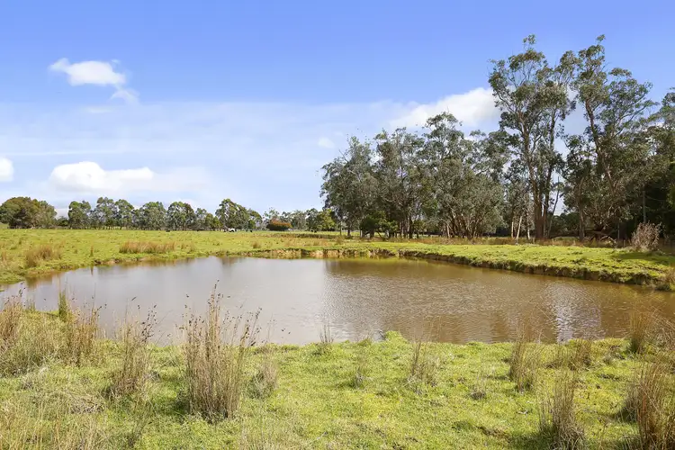 Sixth view of Homely rural property listing, Lot 4, 246 Two Hills Road, Glenburn VIC 3717