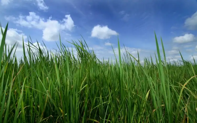 Third view of Homely land listing, Address available on request