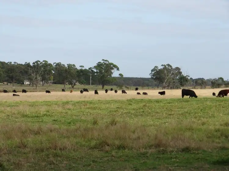 Second view of Homely rural property listing, 67 Carrs Creek Road, Longford VIC 3851