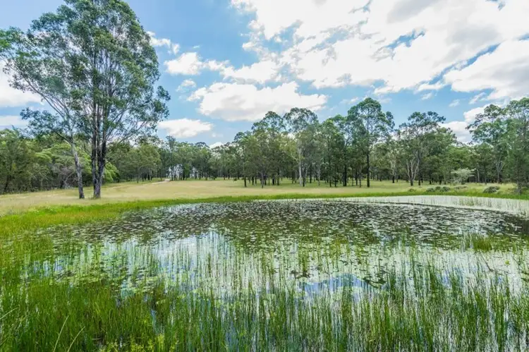 Second view of Homely rural property listing, 262 Sandy Swamp Road, Coutts Crossing NSW 2460