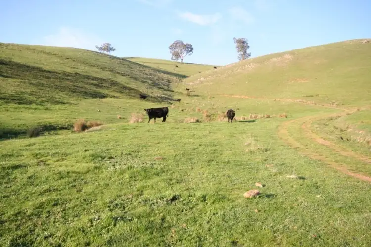 Sixth view of Homely rural property listing, 4782 Yea Whittlesea Road, Yea VIC 3717