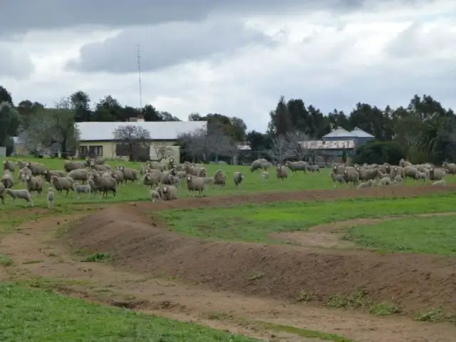 Second view of Homely rural property listing, 1555 Westdale Road, Beverley WA 6304