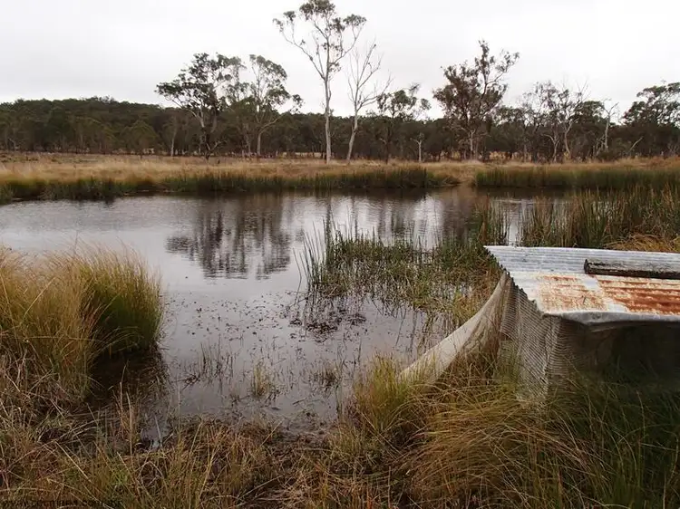 Fifth view of Homely house listing, 32 McKechnie Road, Stanthorpe QLD 4380