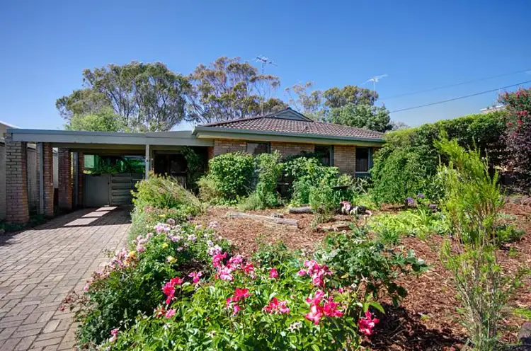 Main view of Homely house listing, 17 Thamballina Road, Clifton Springs VIC 3222