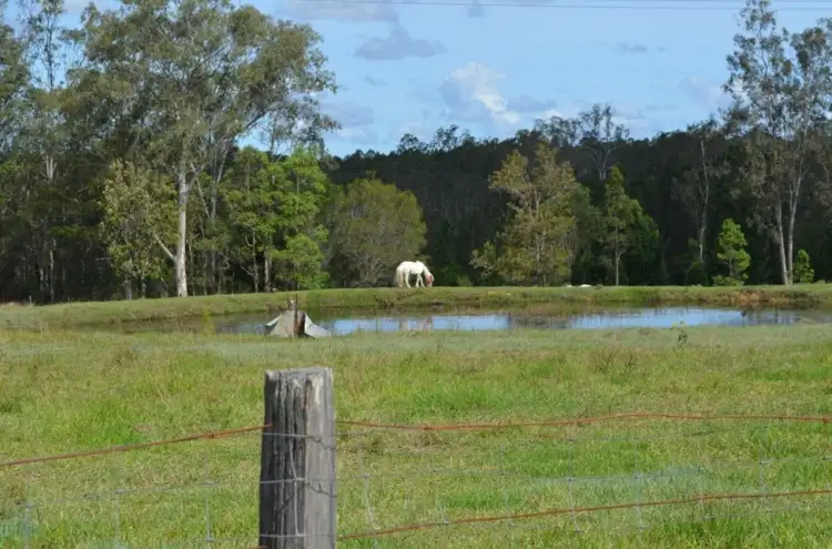Sixth view of Homely rural property listing, 2746 Summerland Way, Dilkoon NSW 2460