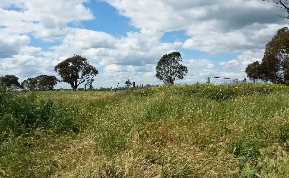 Main view of Homely land listing, LOT 1 Tragowel Road, Tragowel VIC 3579