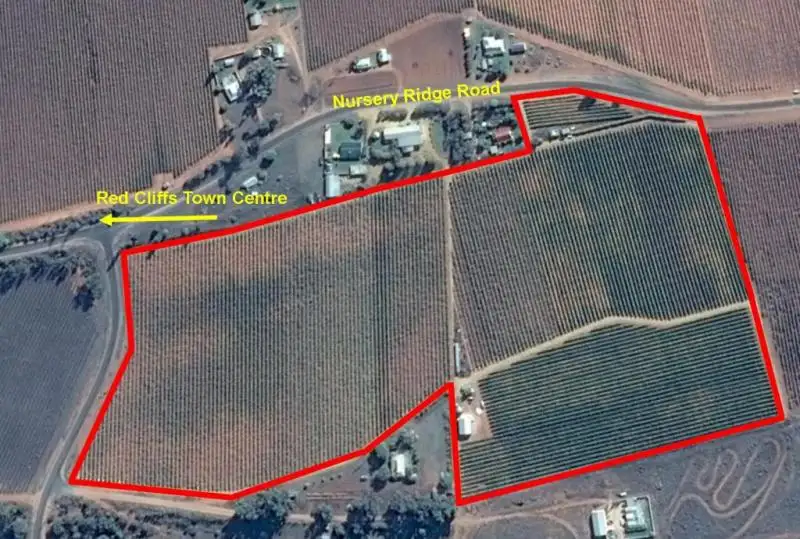 Main view of Homely rural property listing, 229 Nursery Ridge Road, Red Cliffs VIC 3496