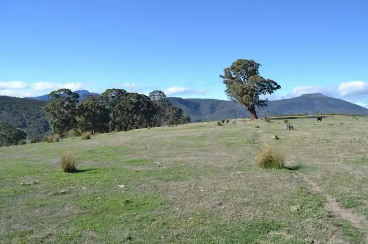 Sixth view of Homely land listing, LOT 61A McCormacks Lane, Merrijig VIC 3723