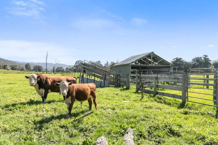 Third view of Homely land listing, 550 Steels Creek Road, Steels Creek VIC 3775