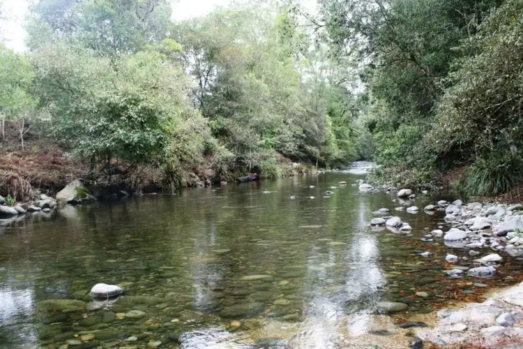 Fourth view of Homely rural property listing, 3716 Allyn River Road, East Gresford NSW 2311