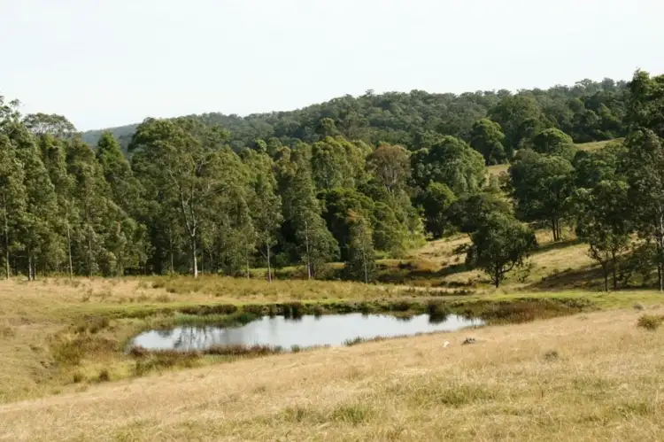 Fourth view of Homely rural property listing, Lot 7 Tanna Road, Clarence Town NSW 2321