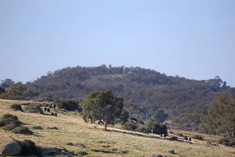 Sixth view of Homely rural property listing, Gelston Park Road, Gelston Park NSW 2650