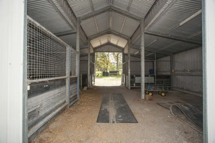 Seventh view of Homely rural property listing, 82 Glen Williams Road, Clarence Town NSW 2321
