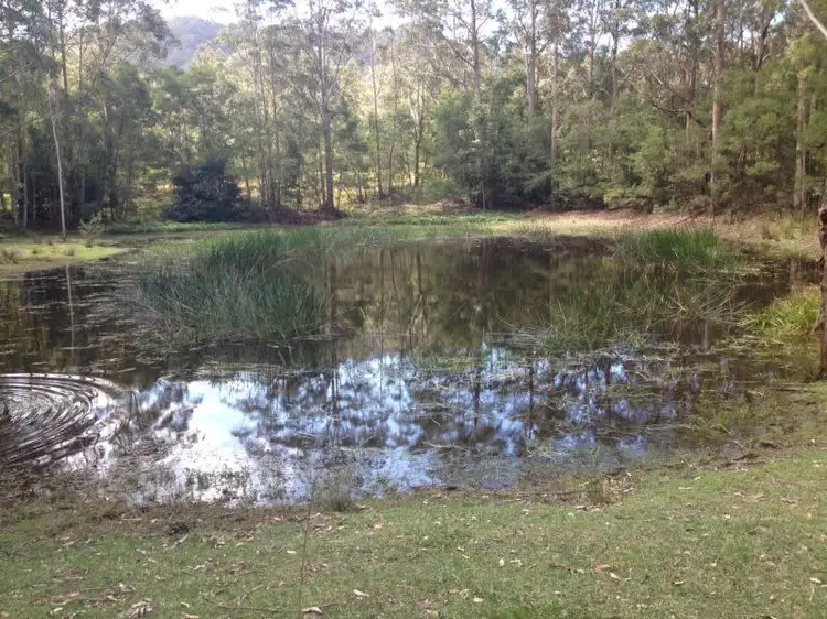 Third view of Homely rural property listing, LOT 52 Hancocks Creek Road, Wandandian NSW 2540