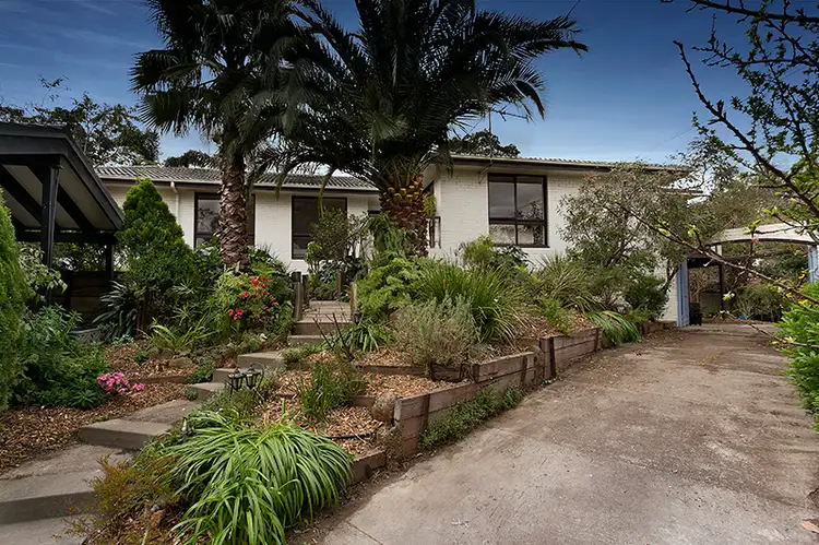 3 Arundel Court, Box Hill South VIC 3128