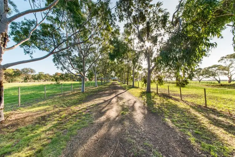 Main view of Homely house listing, 220 Old St Leonards Road, St Leonards VIC 3223