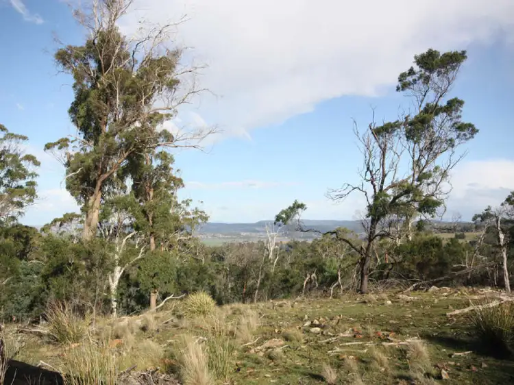 Seventh view of Homely land listing, 1907 East Tamar Highway, Dilston TAS 7252