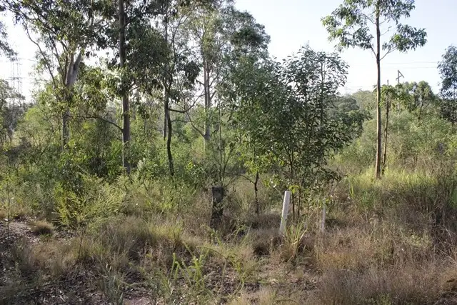 Second view of Homely land listing, 187 Barclay Street, New Chum QLD 4303