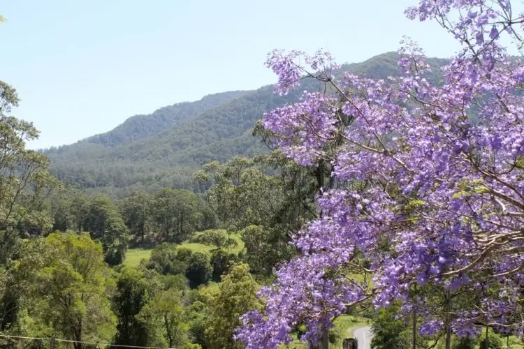 Second view of Homely rural property listing, 573 Blue Knob Road, Blue Knob NSW 2480
