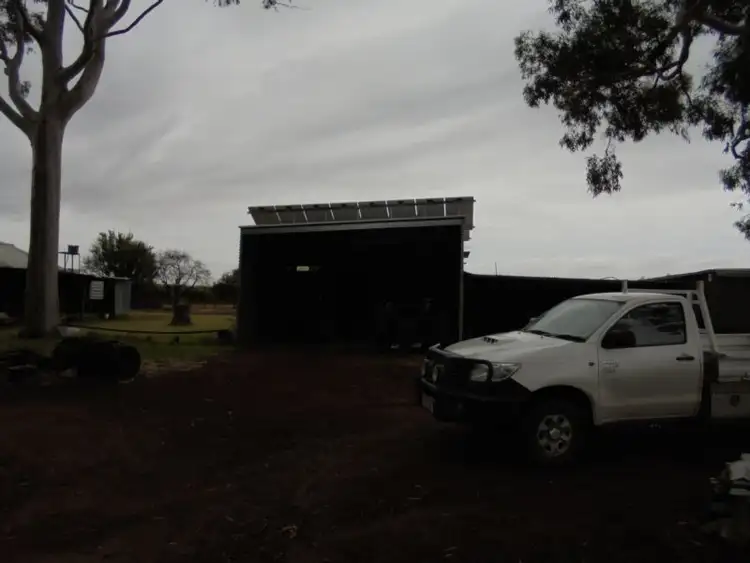 Seventh view of Homely rural property listing, 905 Malaya Road, Robinvale VIC 3549